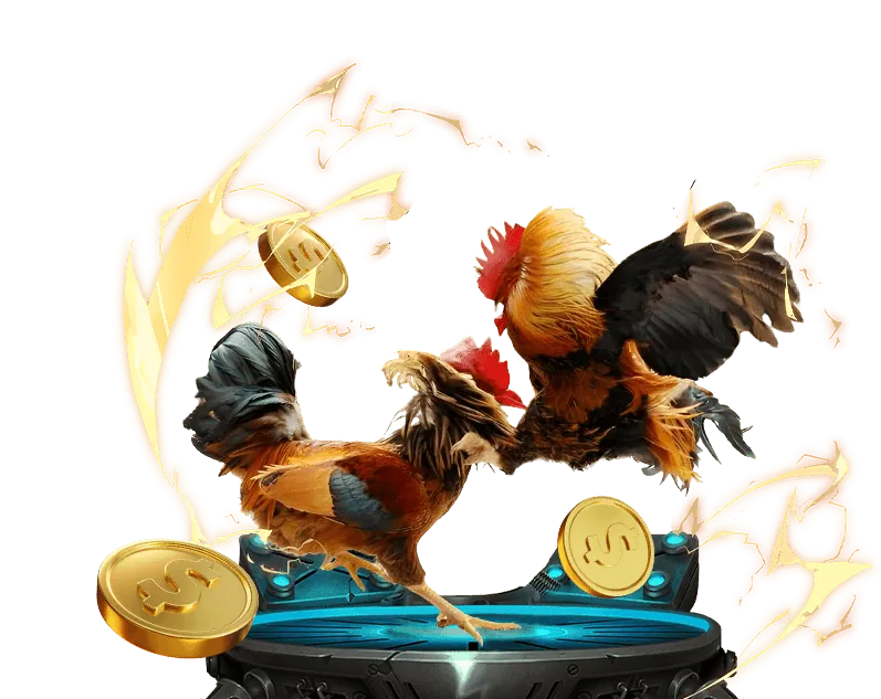 Bước 3: Chọn sảnh đá gà helo88